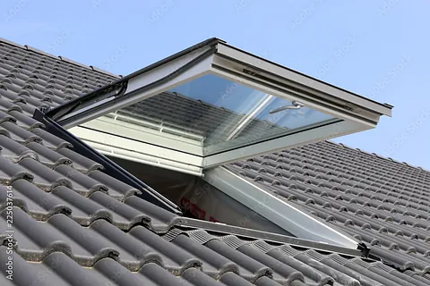 Velux windows