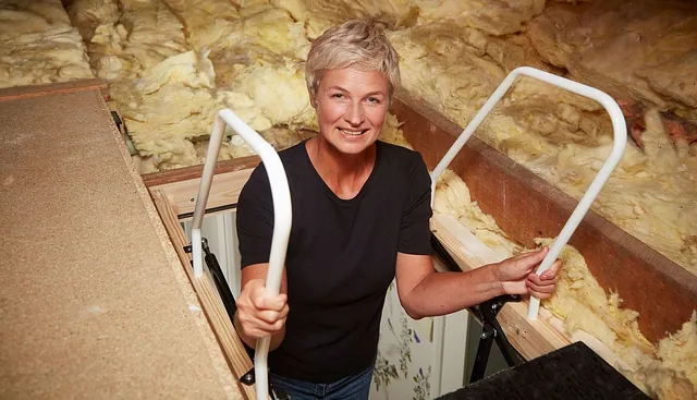 loft ladder